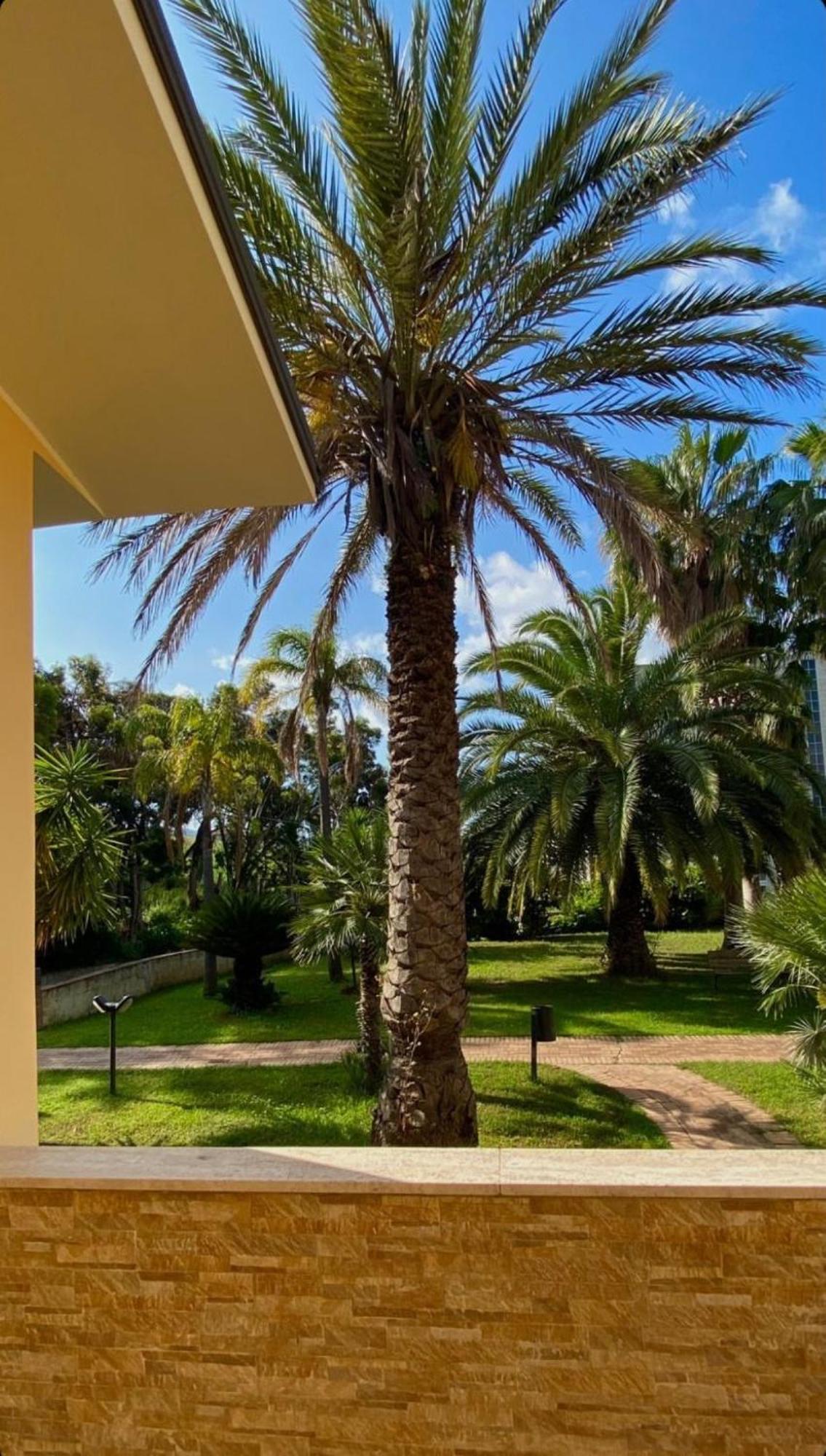 San Michele Apartments&Rooms กาตันซาโร ภายนอก รูปภาพ